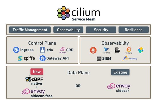 오픈소스 네트워크 소프트웨어 실리움, 서비스 메시 기능 추가